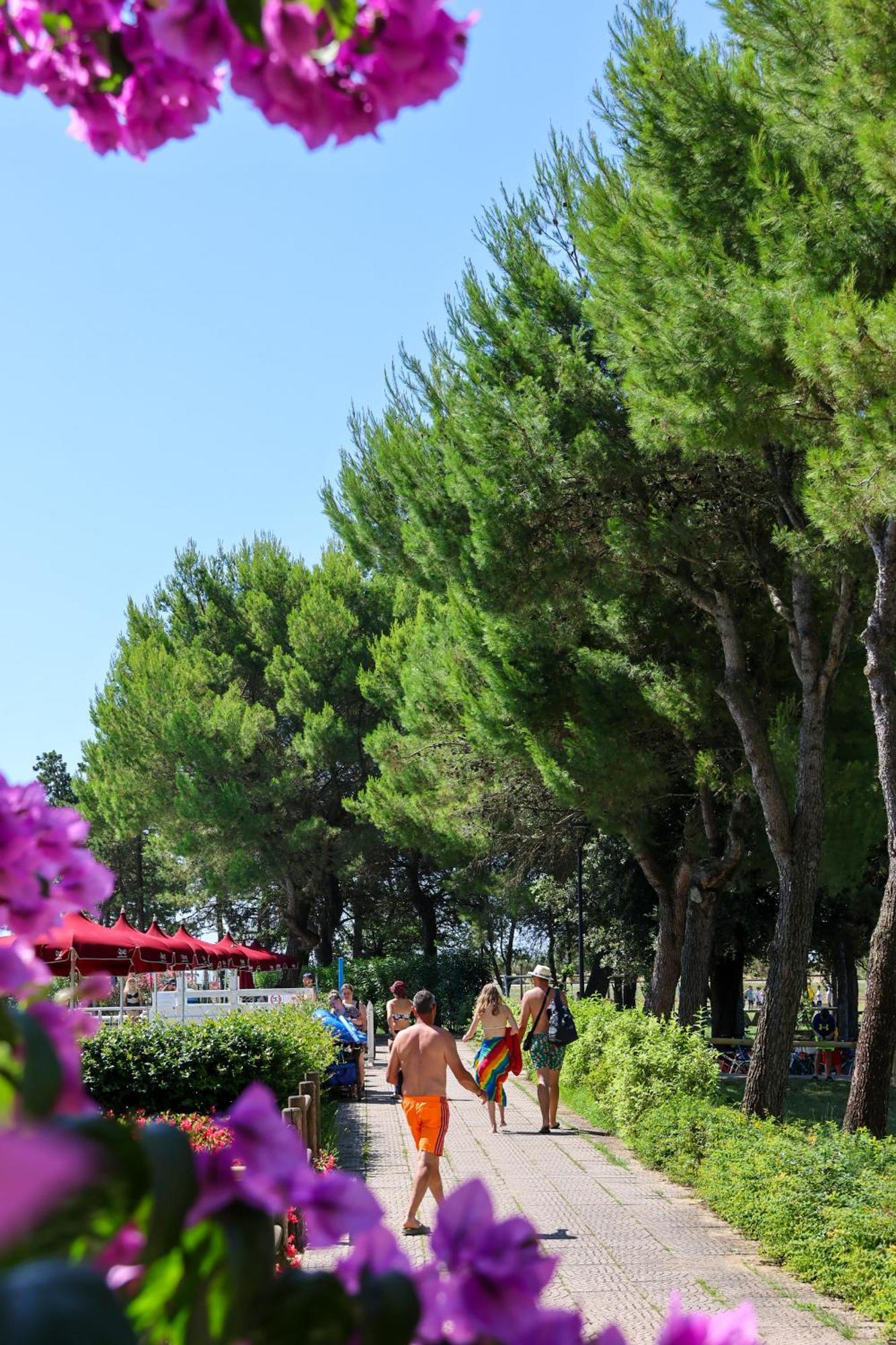 Il Tridente Hotel Bibione Ngoại thất bức ảnh